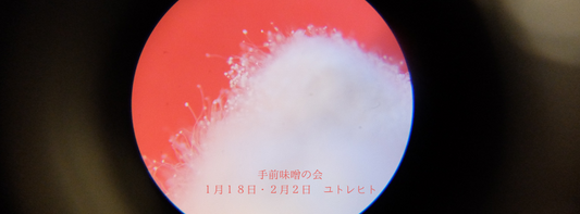 日本語で手前味噌の会 2025年1月・2月