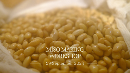 NEW WORKSHOP : MISO making