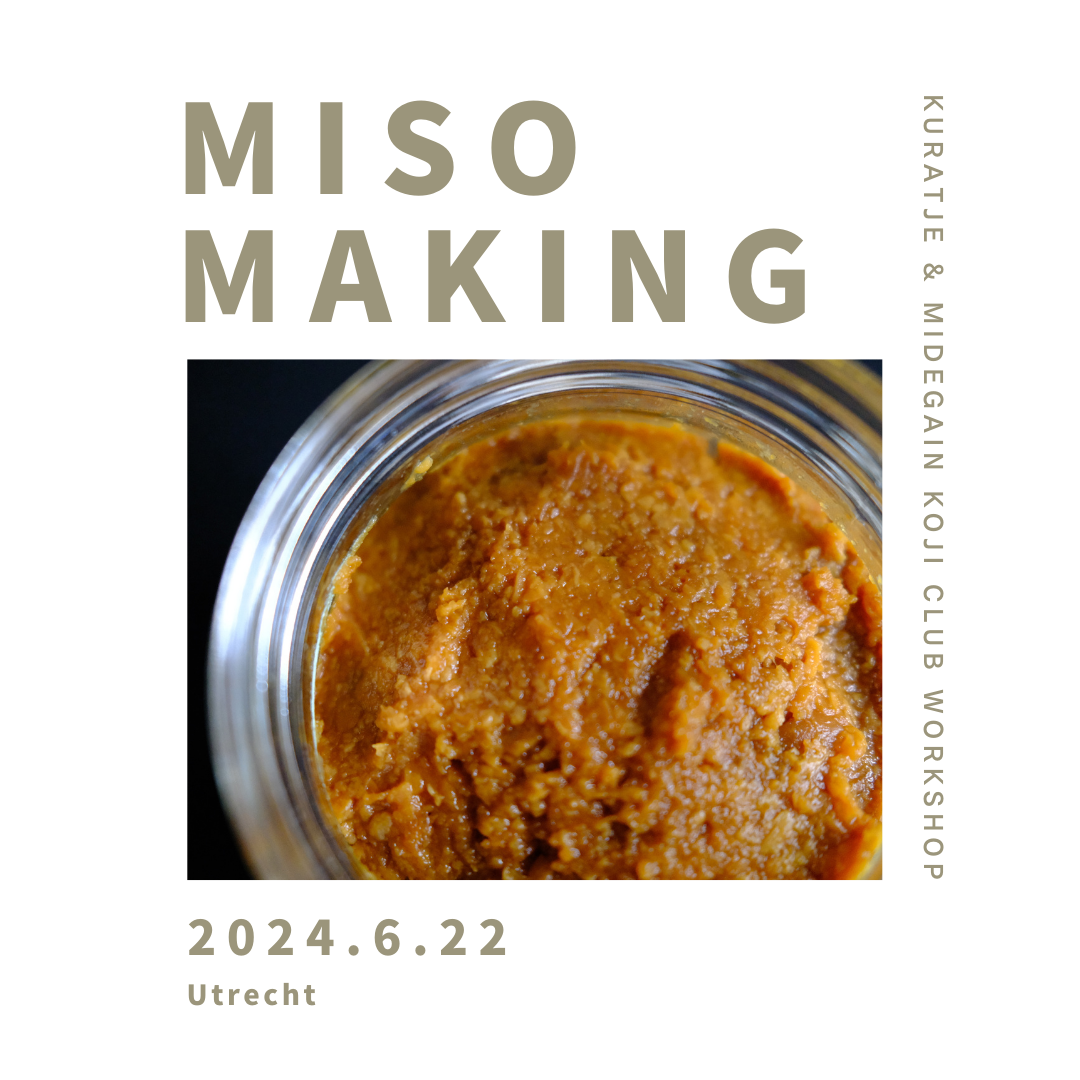 MISO making workshop