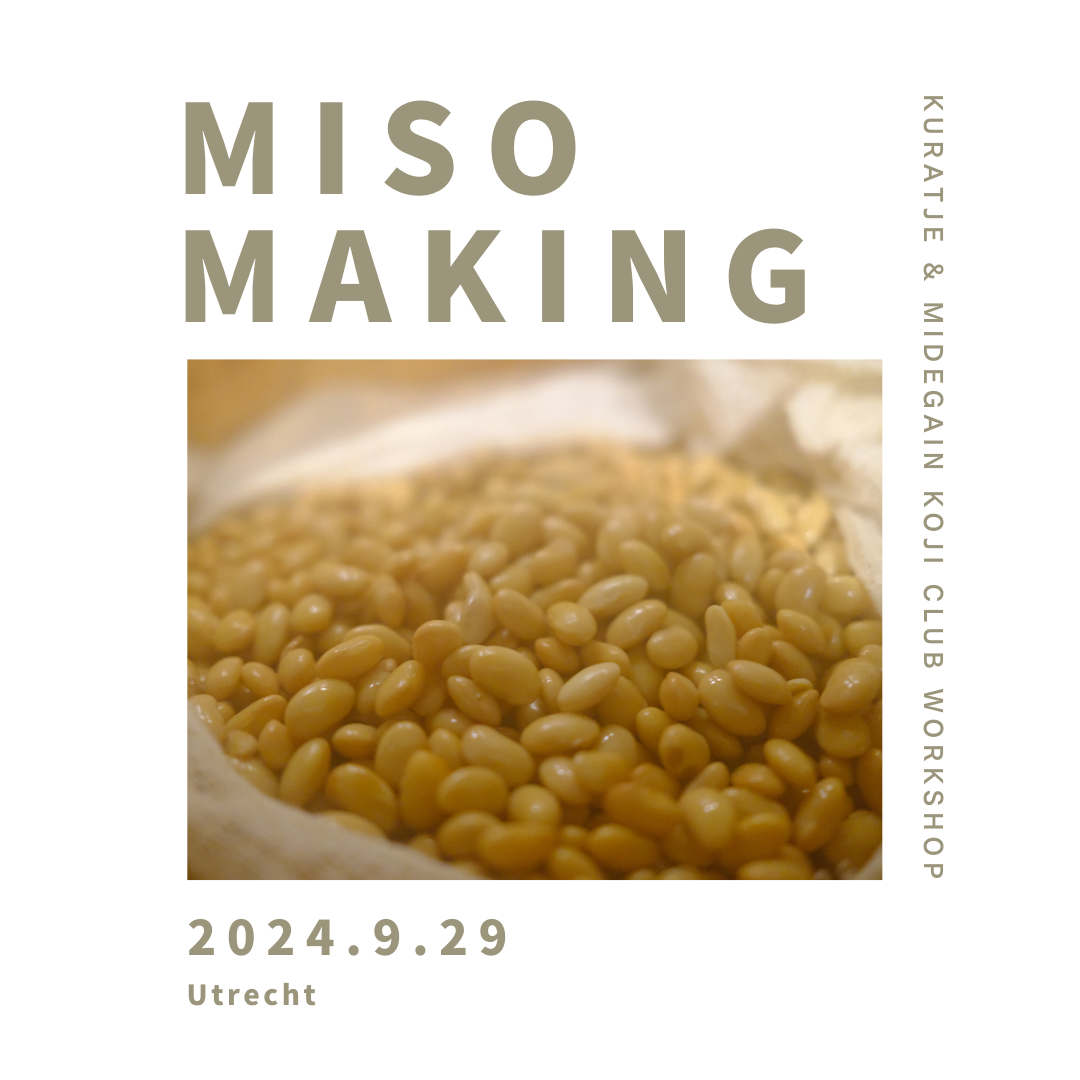 MISO making workshop